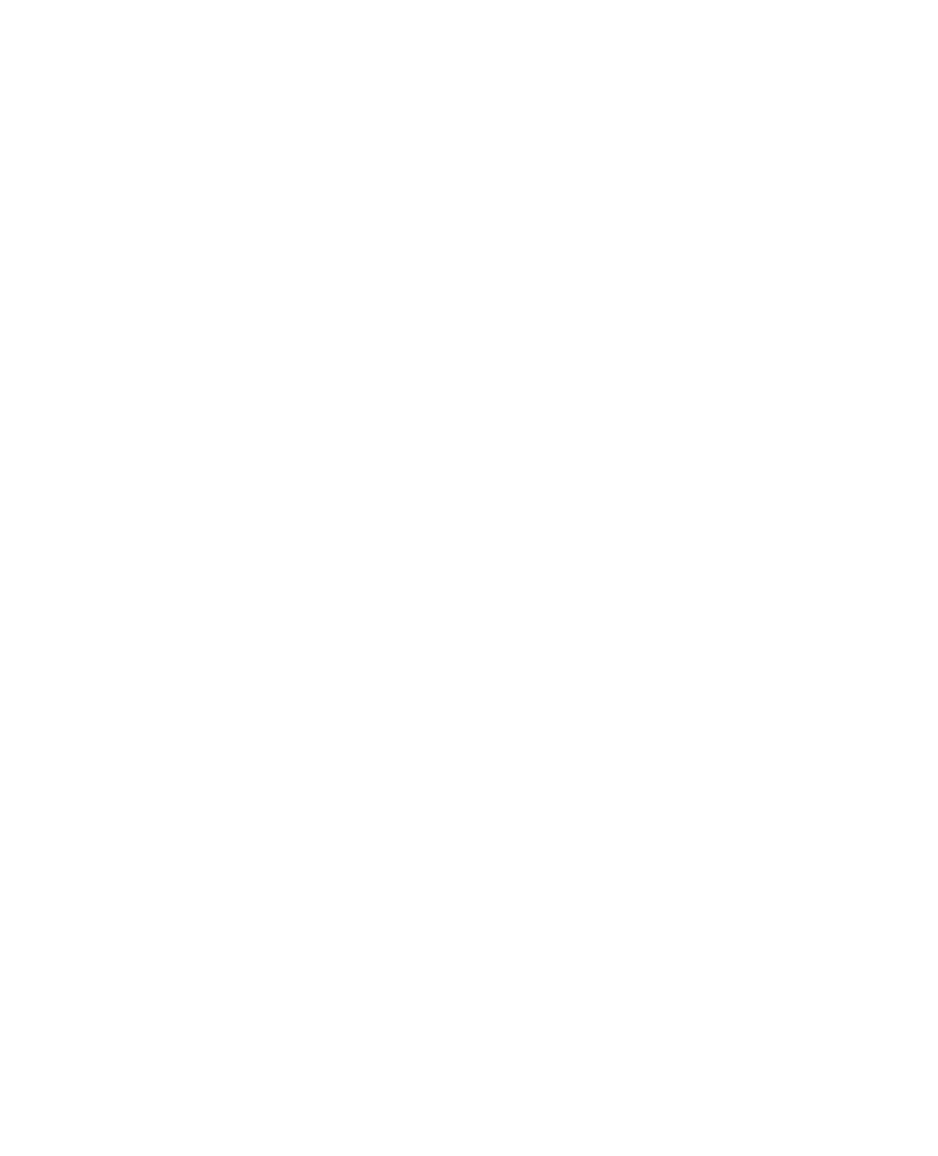 FFW Logo Singular White Digital
